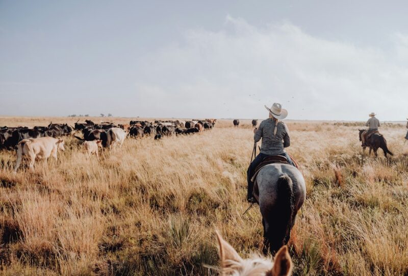 Why Is the 6666 Ranch Worth Hundreds of Millions? Because It’s Much More Than Land.