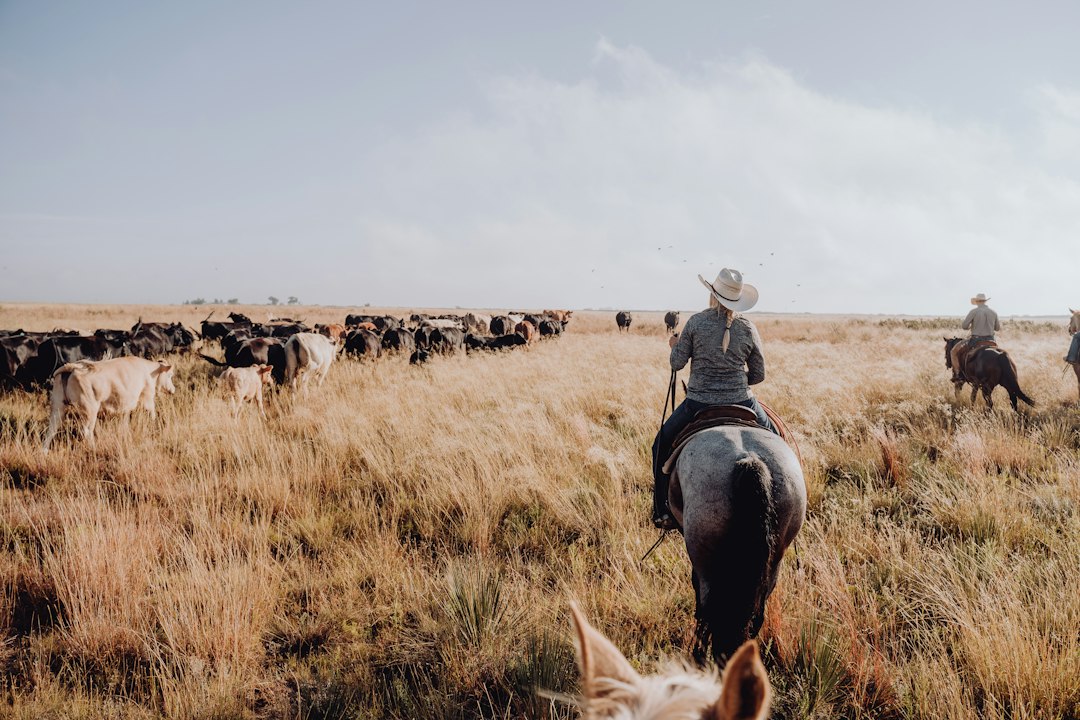 Why Is the 6666 Ranch Worth Hundreds of Millions? Because It’s Much More Than Land.
