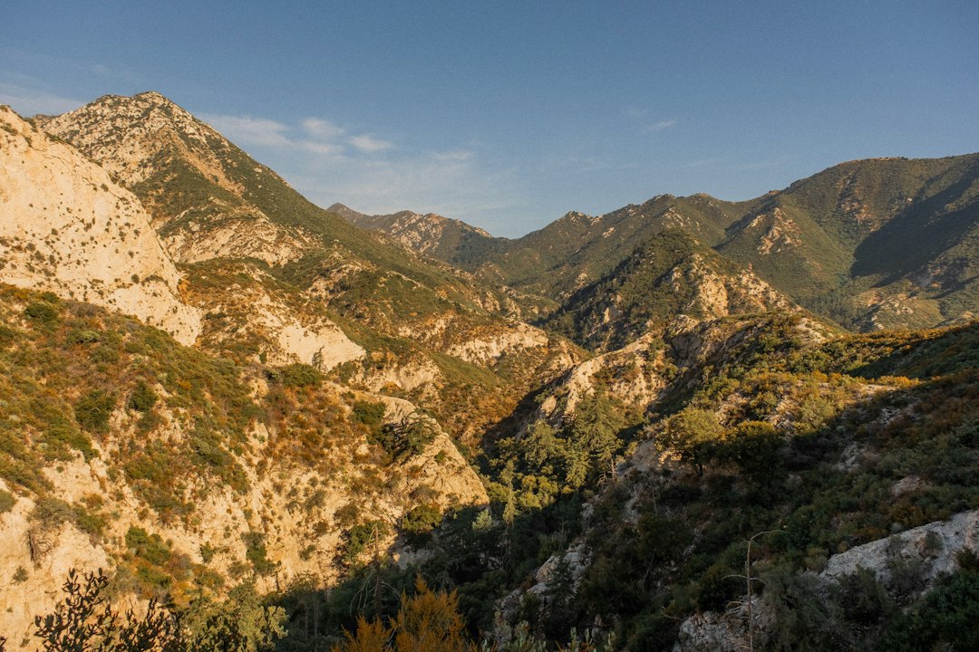 Newsom Just Changed the Rules for Rebuilding Altadena After the Eaton Fire